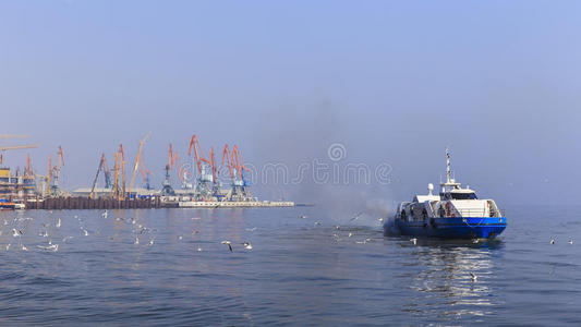 起重机 旅游业 海港 天空 反射 颜色 海鸥 施工 建筑