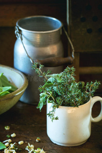 草本植物 食物 迷迭香 花园 百里香 烹饪 厨房 杯子 自然