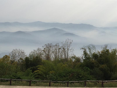 平原 小山 气氛 薄雾 摔倒 地平线 风景 高地 泰国 草地