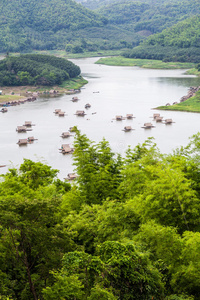 森林 风景 美女 木筏 泰国 浮筒 美丽的 场景 公园 自然
