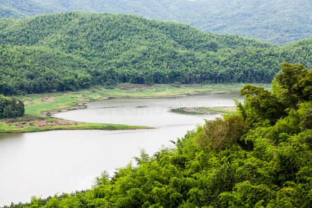 美女 美丽的 风景 森林 场景 自然 环境 洛伊 天空 公园