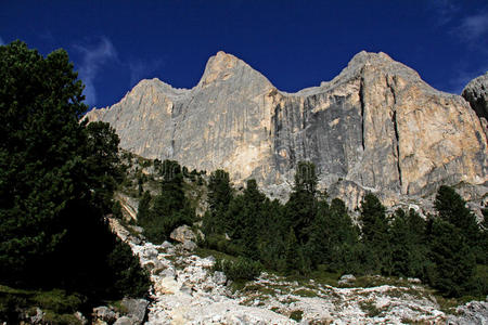 徒步旅行 山谷 特伦蒂诺 白云石 风景 阿尔卑斯山 意大利