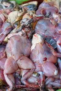 青蛙市场市场上托盘上的新鲜青蛙肉.照片