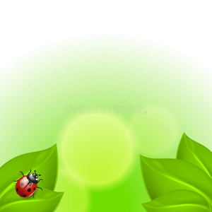 绿色背景与瓢虫