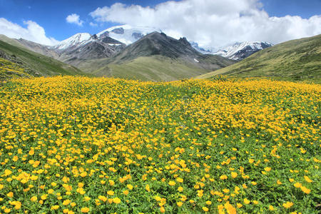 山上的花山