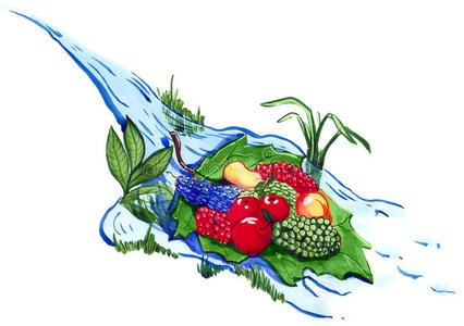 流动的 植物 秋天 物体 自然 生菜 服务提供商 梅子 食物