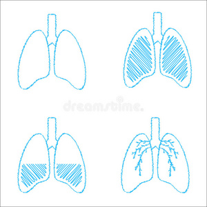 人类 健康 身体 要素 生物学 偶像 生理学 医疗保健 照顾