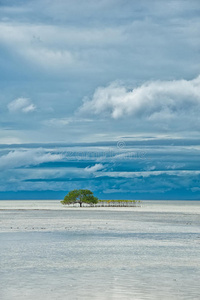 云景