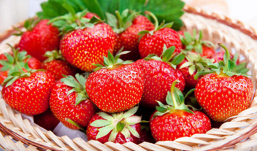 农场 草莓 水果 农业 篮子 甜点 颜色 美味的 特写镜头