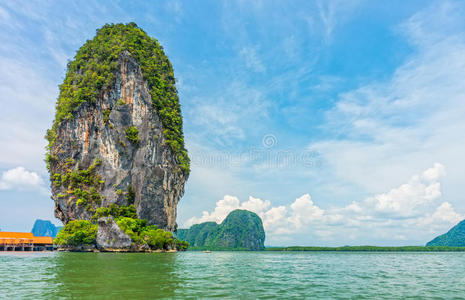 海岸线 风景 自然 海洋 植物 公园 森林 海岸 悬崖 岩石