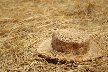 稻草上的棕色帽子。