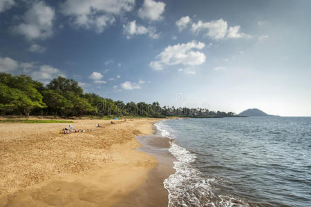 太平洋 海滩 自然 毛伊岛 棕榈 夏威夷 南方 太阳 天堂