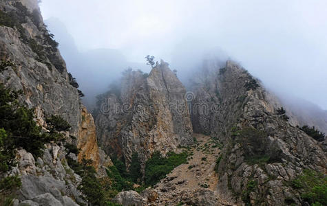 绿色植物 峭壁 旅行 扬升 薄雾 攀登 顶点 脚印 劳尼