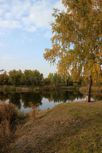 秋季景观公园池塘