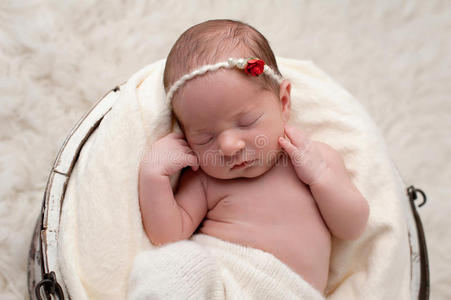 人类 婴儿 小地毯 水桶 新生儿 羊皮 宝贝 清白 肖像