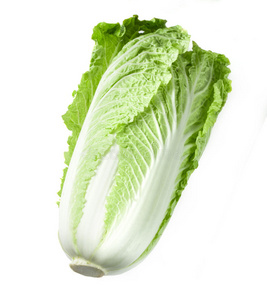 大白菜油渣图片