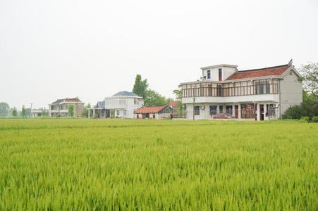中国农田中国村庄房屋和农田照片