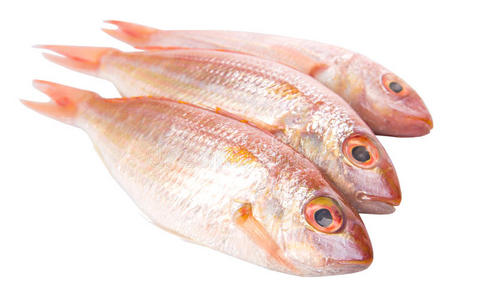 自然 海的 海鲜 眼睛 鲷鱼 钓鱼 营养 蛋白质 海洋 美味的