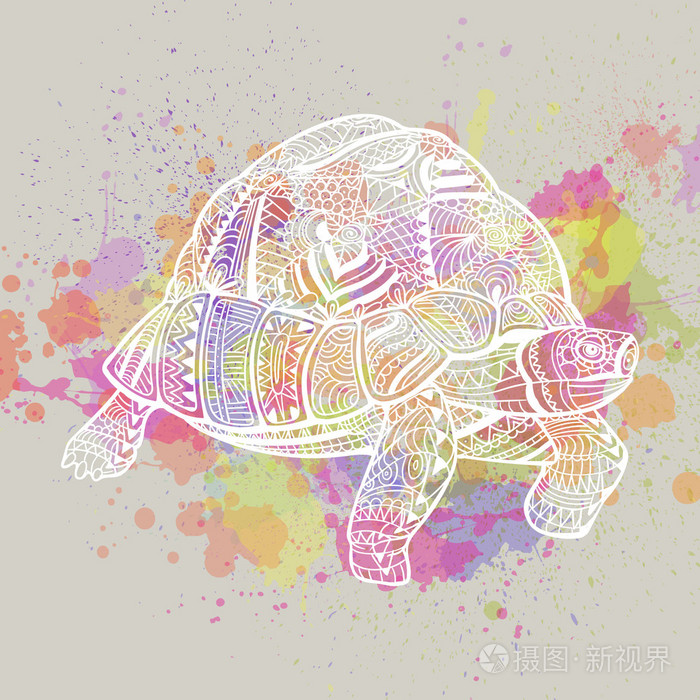 矢量抽象观赏龟插画-正版商用图片1or07g-摄图新视界