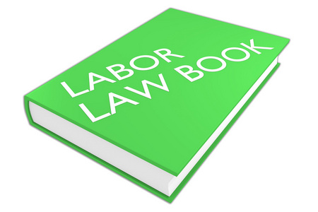 劳动法律书籍的概念图片