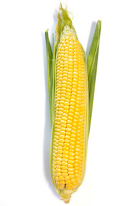 棒子花图片-棒子花素材-棒子花插画-摄图新视界