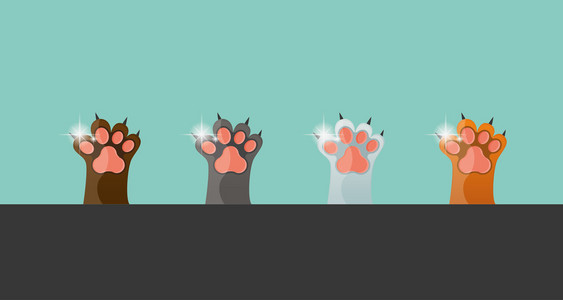 猫的爪子,矢量图插画