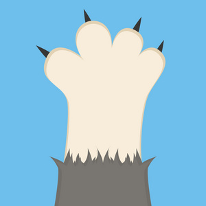 猫的爪子矢量图