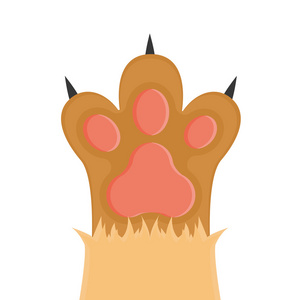 猫的爪子矢量图