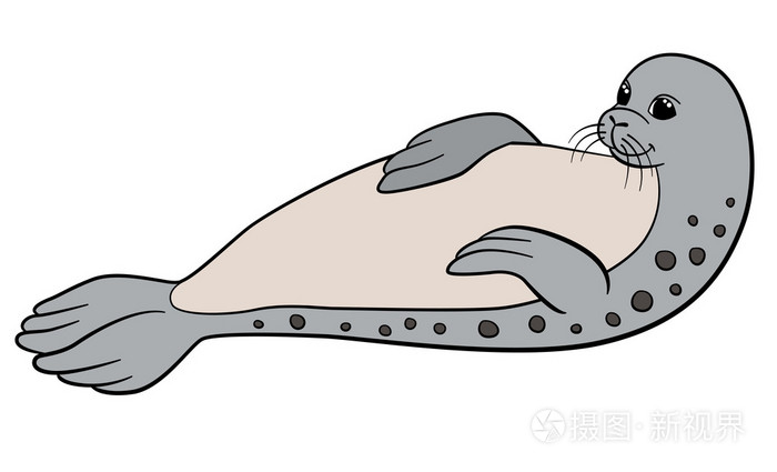 斑海豹卡通图片