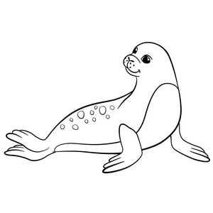 海狗卡通图片-海狗卡通素材-海狗卡通插画-摄图新视界