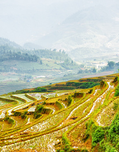 充满水的高地在越南的稻米梯田图片
