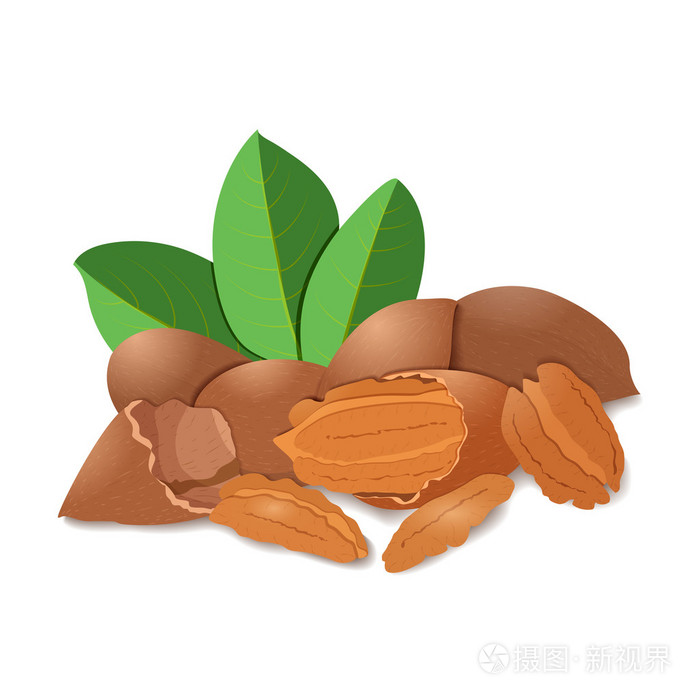一把壳的山核桃坚果壳和外壳,叶.