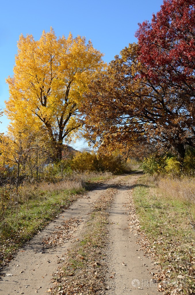 秋天的颜色,沿着一条乡村公路