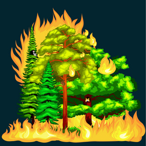 森林火,火在森林景观破坏,自然生态灾难,热燃烧树木,危险森林火灾火焰