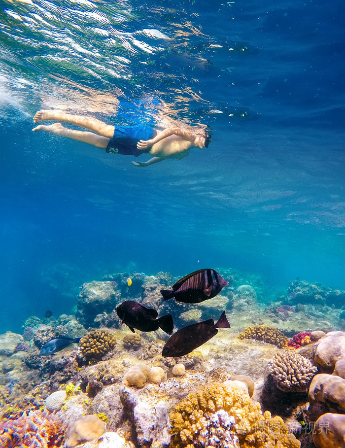 水下摄影的浮潜在红海的小男孩