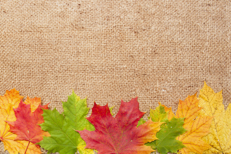 秋天的枫叶上羊毛布背景图片