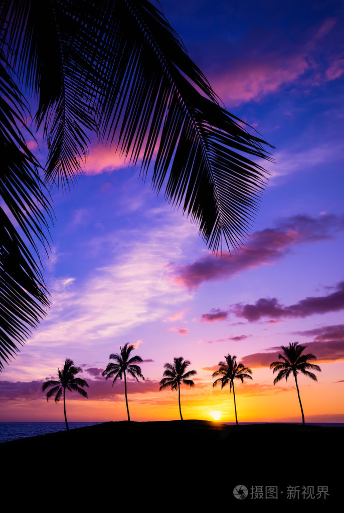 夏威夷椰树晚霞