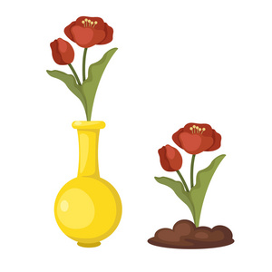 矢量花瓶里的花