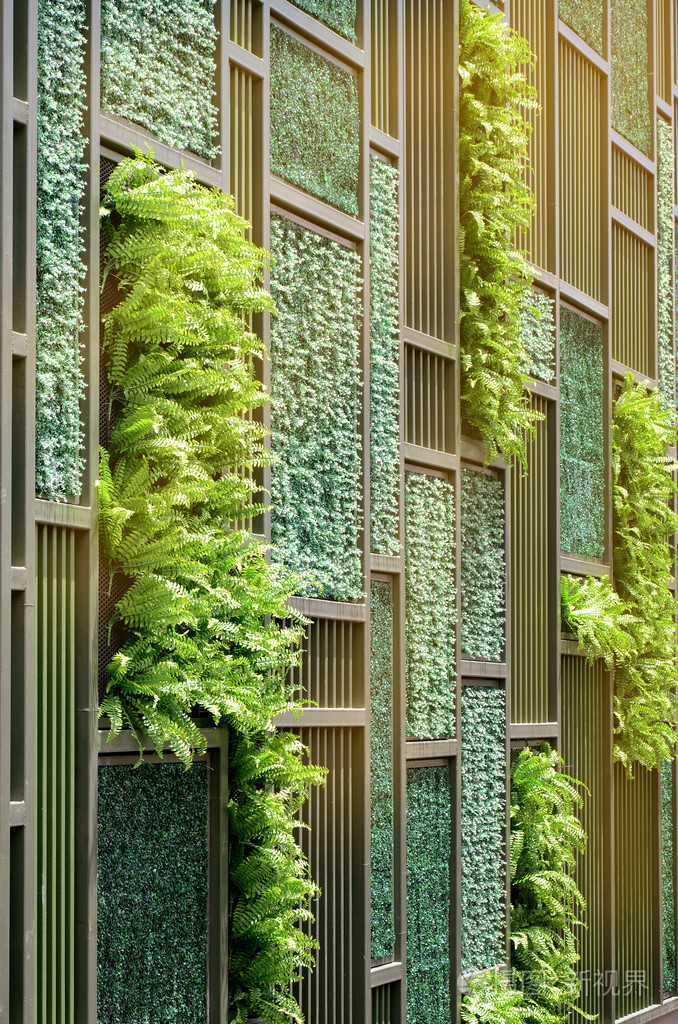 与温暖的轻色调的绿墙