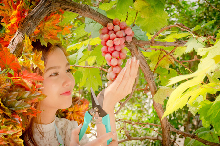 女孩看着一串绿葡萄上灿烂的一天