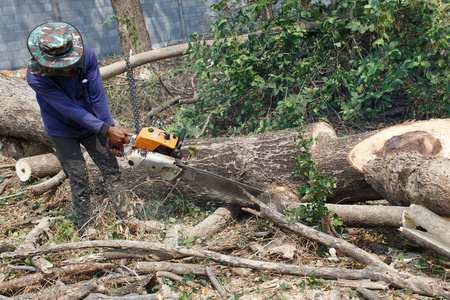 伐木工人砍伐树木的详细工作图片