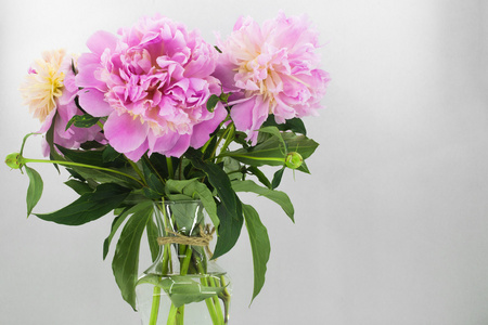 新鲜的花,一个花瓶,花瓶上白色孤立的牡丹照片