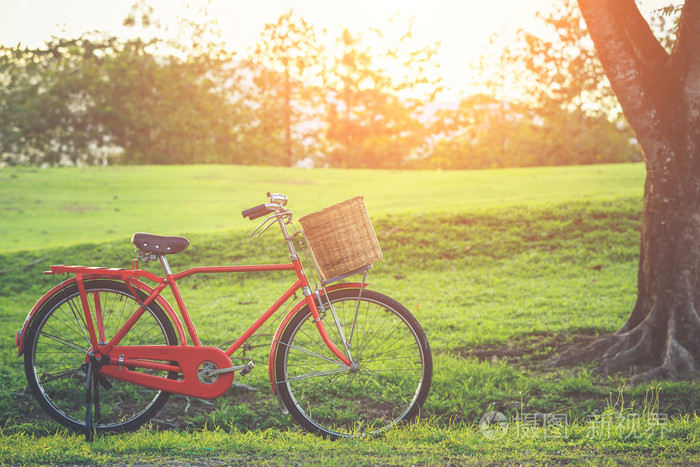 红日本风格经典自行车在公园里