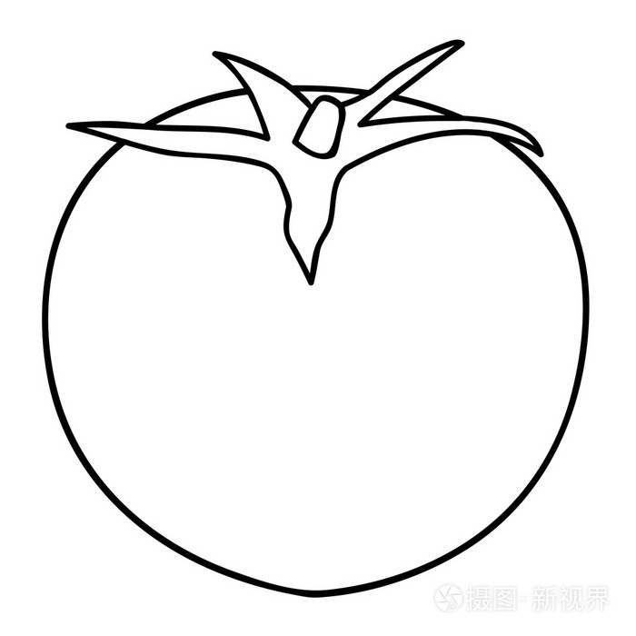 隔离的番茄插画素描线描