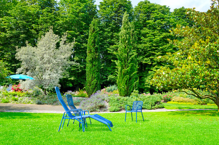 美丽的夏天公园草坪和躺椅图片