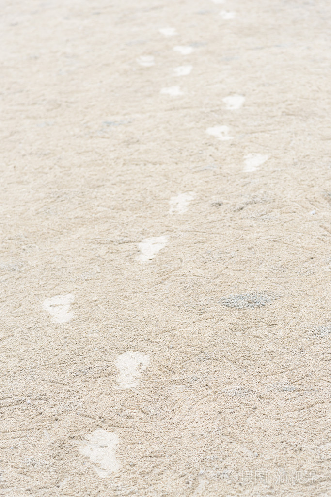 脚印在沙子和幽灵螃蟹栖所在沙子