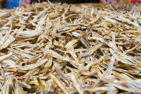 干鱼凤尾鱼图片