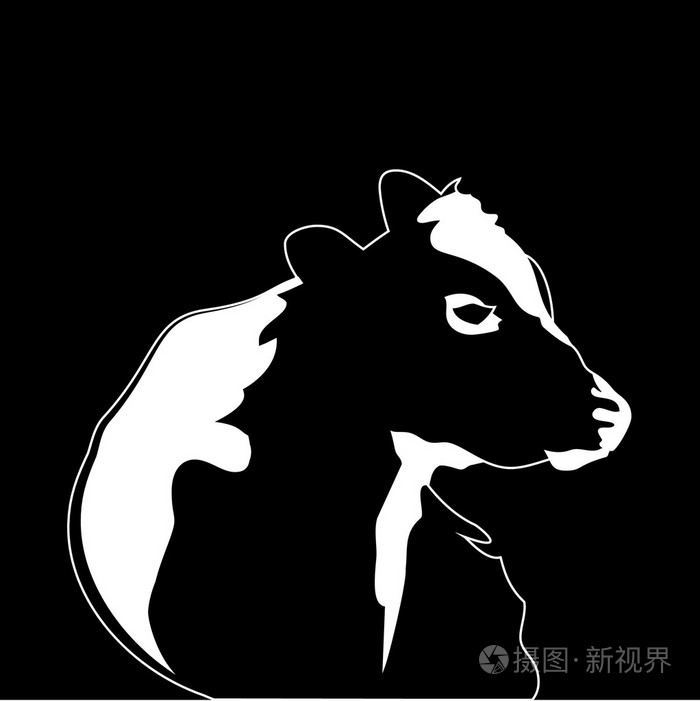 大牛的抽象肖像黑色和白色的牛剪影