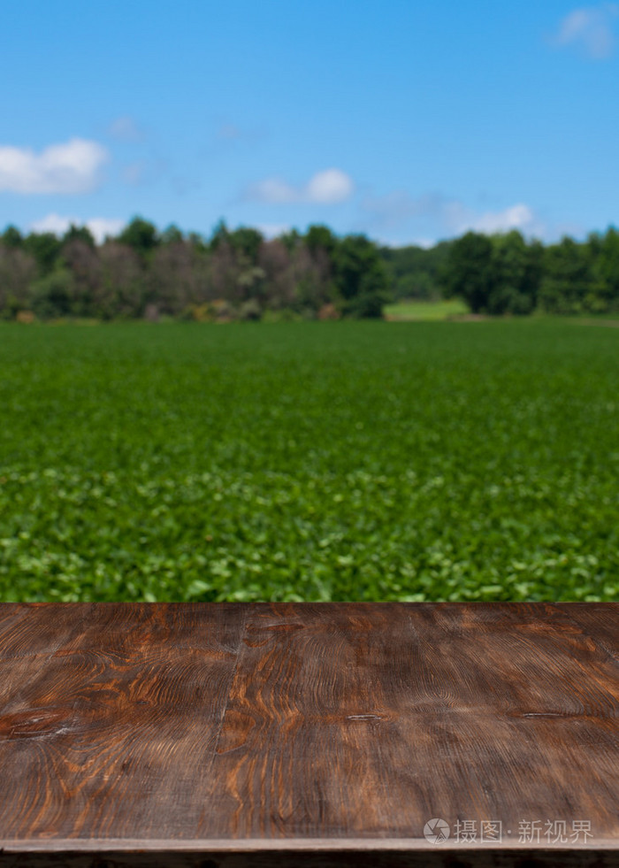 非常漂亮的木桌上的风景