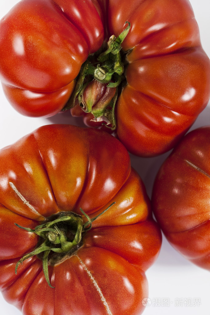 白色背景下的土番茄